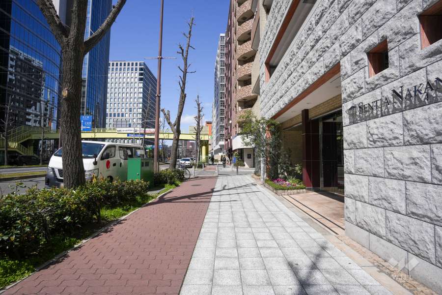 敷地西側の前面道路（南側から）