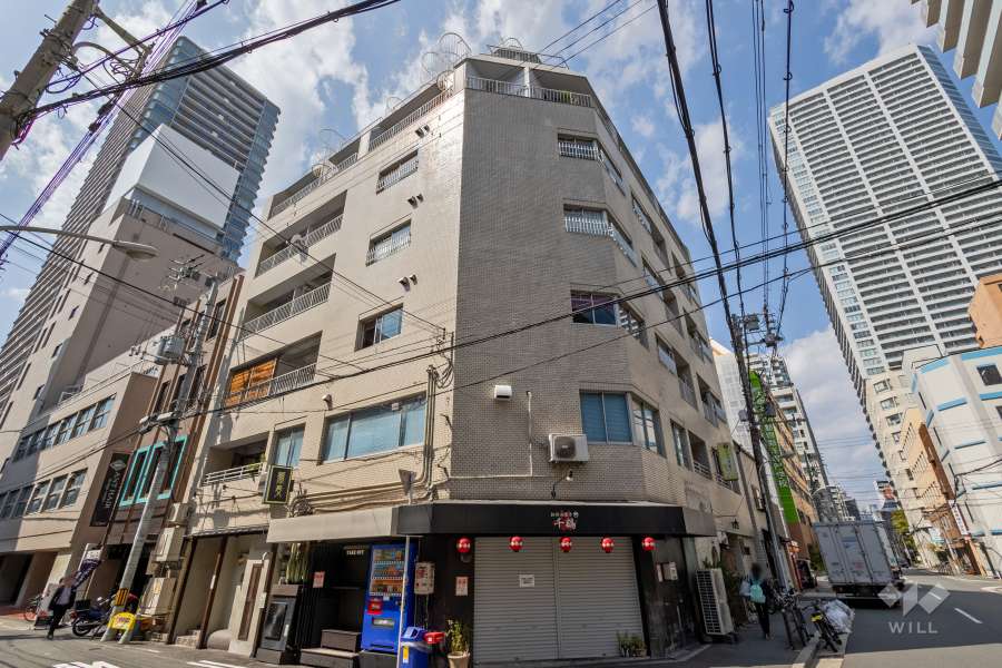 ダイアパレス四ツ橋の外観（南東側から）