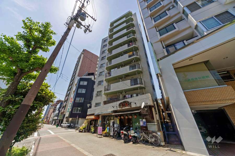 ダイアパレスの外観（北東側から）