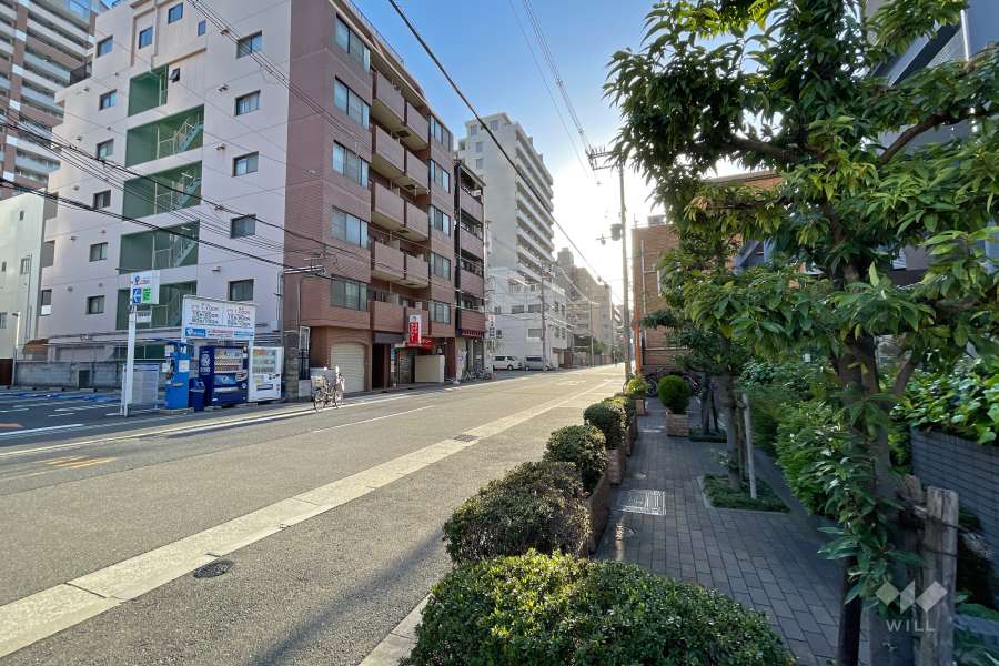 敷地北側の前面道路（西側から）