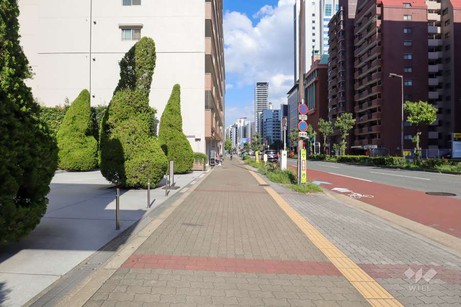 敷地南東側の前面道路（南西側から）