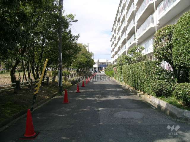 敷地の南側
