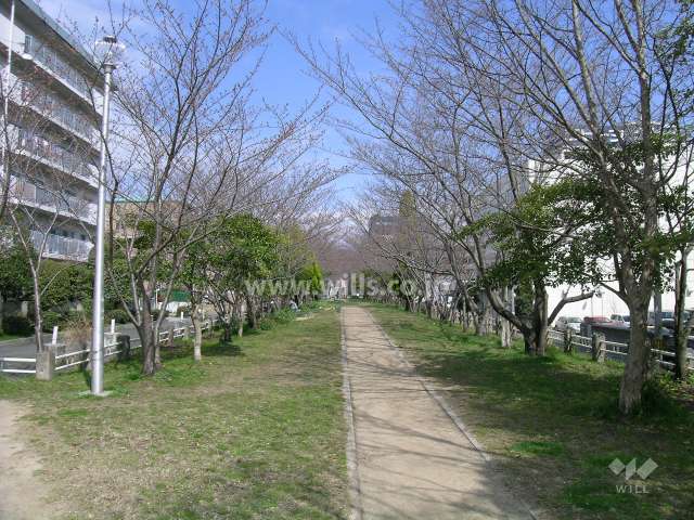 敷地の東側も公園です