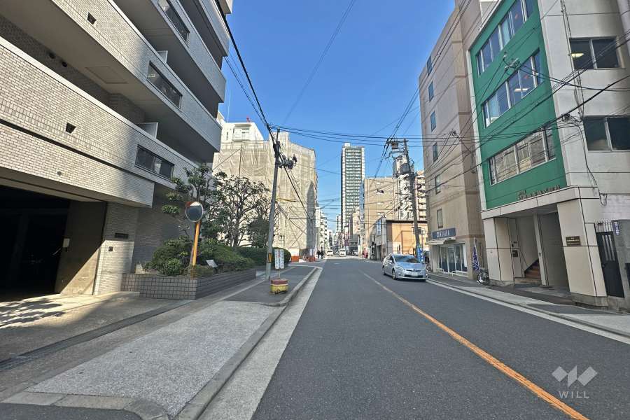 敷地南側の前面道路（西側から）