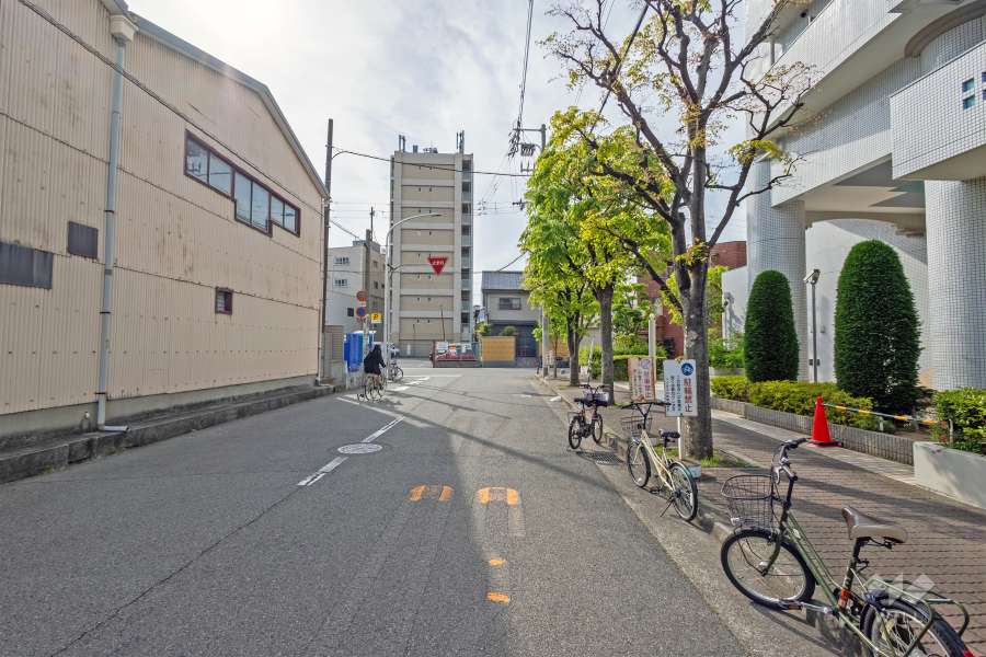 敷地の南側前面道路（東側から）