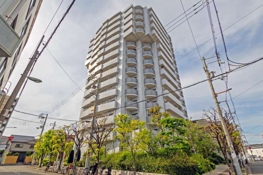 ハイネス九条の外観（南東側から）
