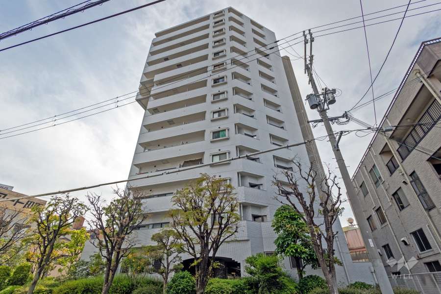 ハイネス九条の外観（北東側から）