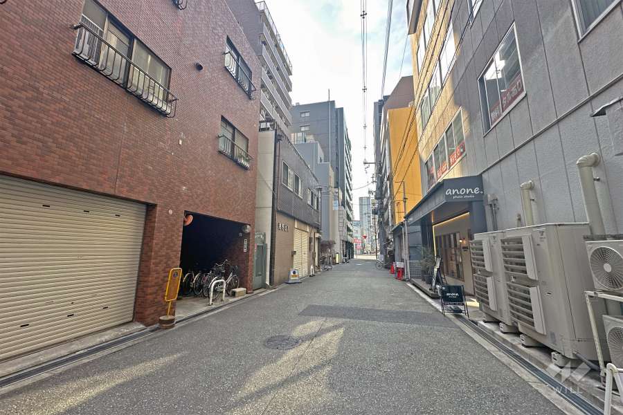 敷地の北側道路（東側から）