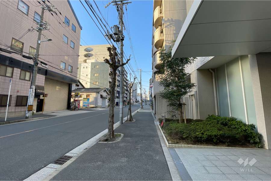 敷地南東側の前面道路（北東側から）
