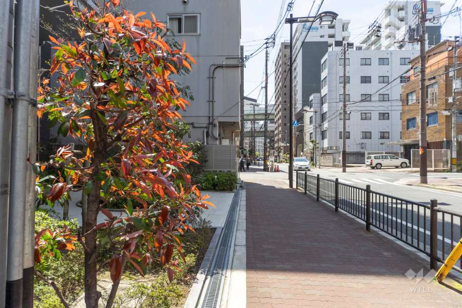 敷地北西側の前面道路　