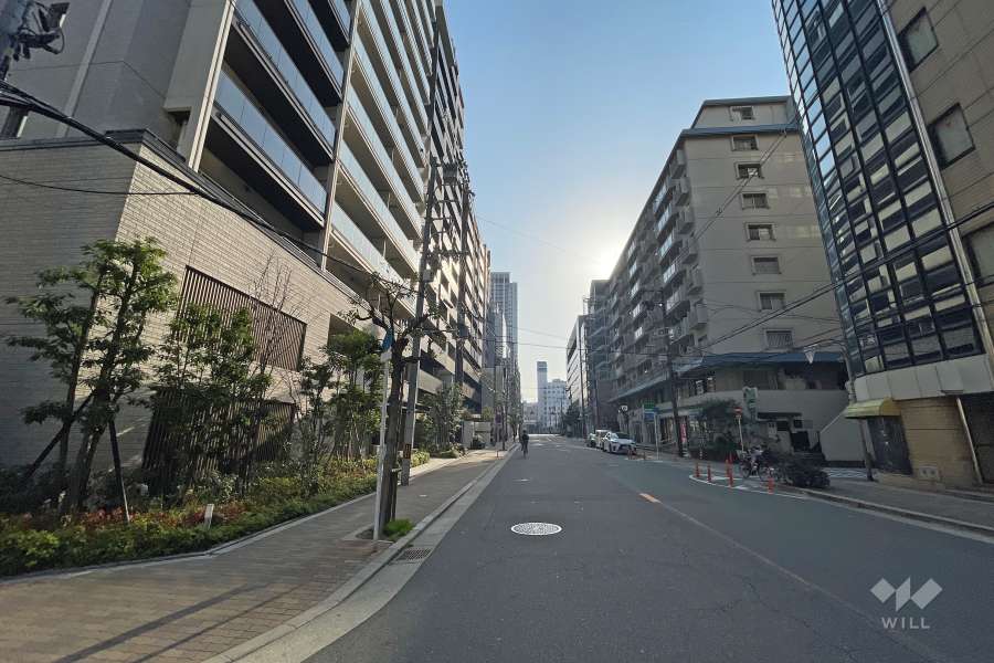 敷地南側の前面道路（西側から）