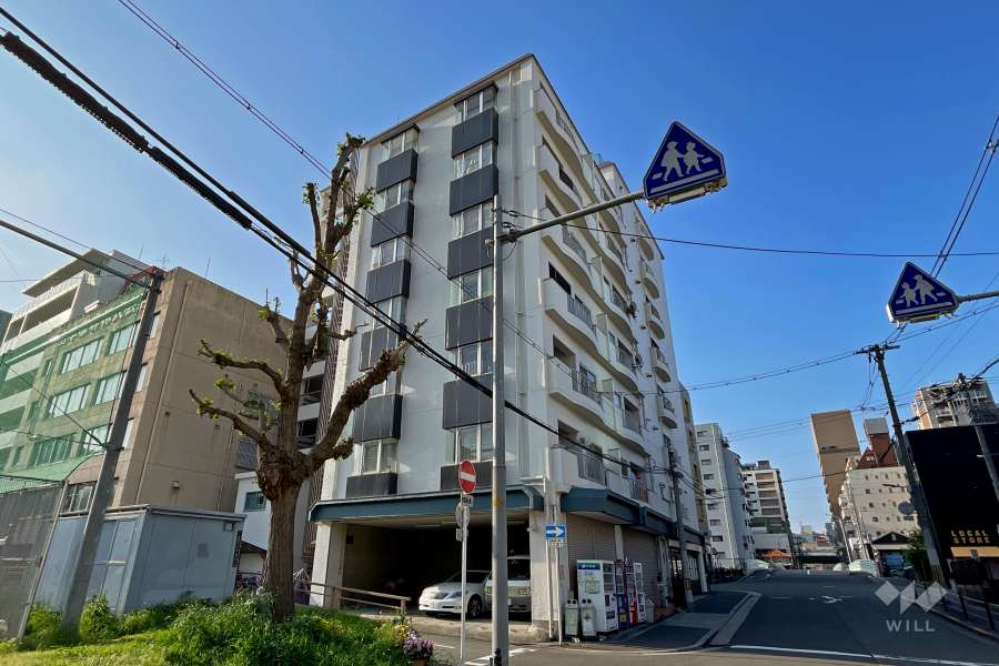 フルーレ南堀江の外観（北西側から）