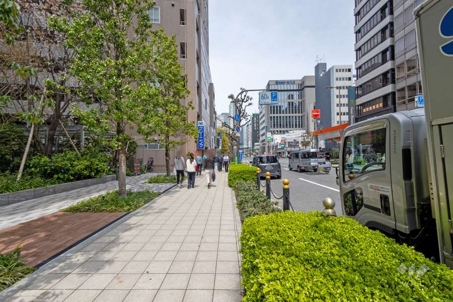 敷地東側の前面道路（南側から）