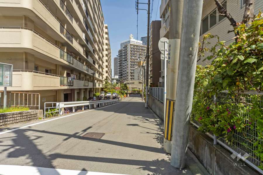 敷地の西側前面道路（南側から）