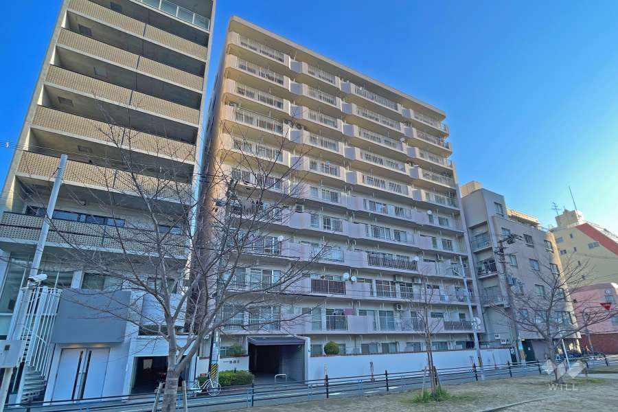 メゾン南堀江の外観（南西側から）