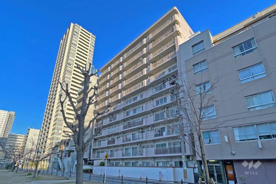 メゾン南堀江の外観（南東側から）