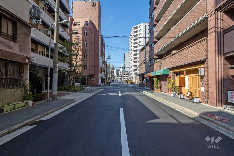敷地西側の前面道路（南側から）