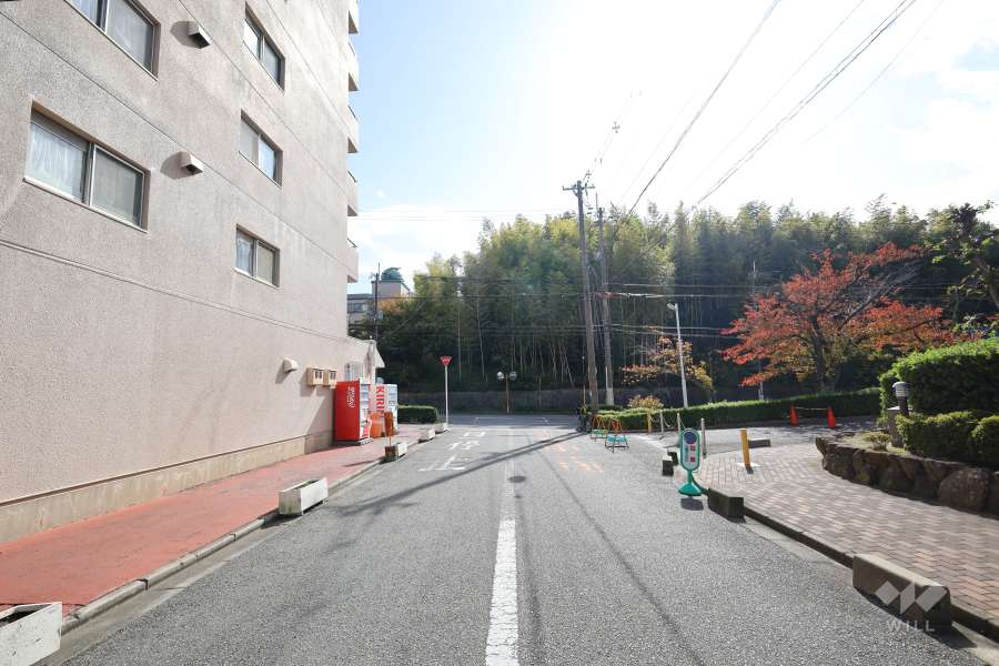 敷地東側の前面道路（北側から）