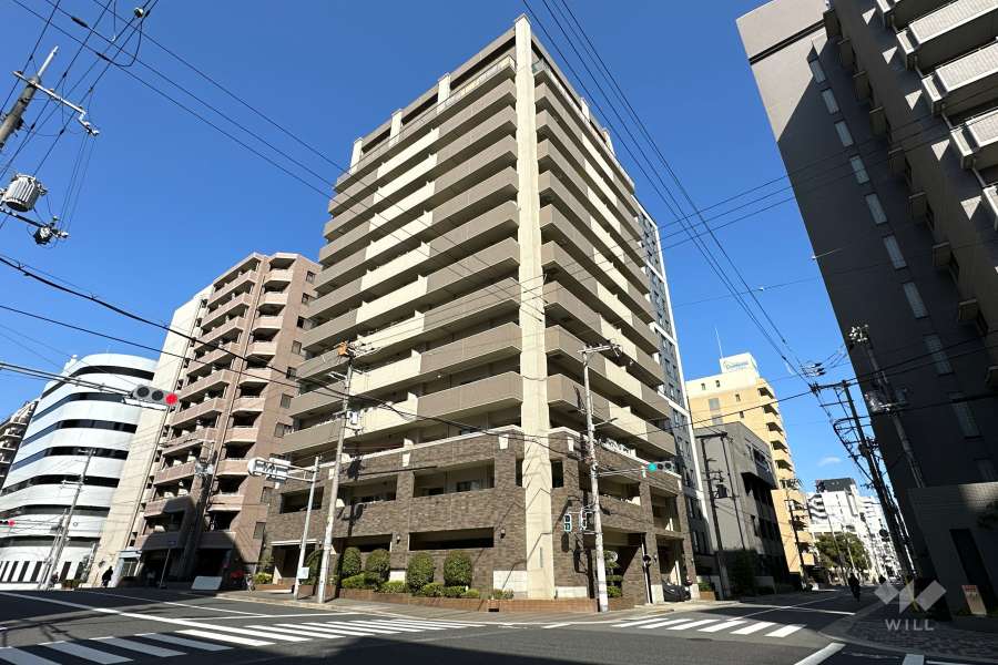 リベール南堀江の外観（西側から）
