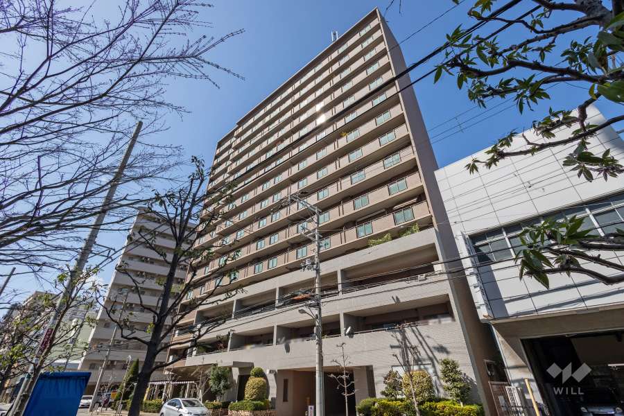 ルイシャトレ本町西の外観（南東側から）