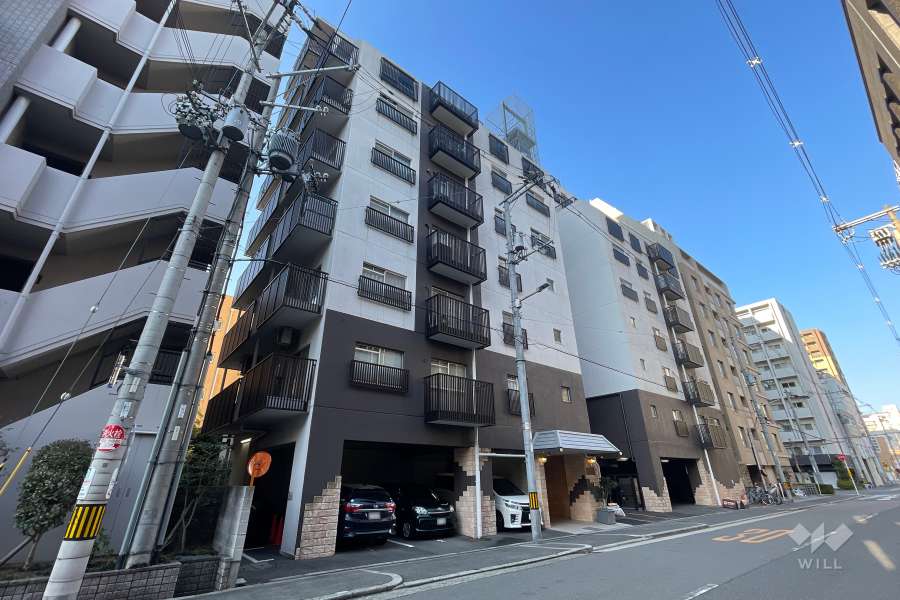 ルックハイツ南堀江の外観（北東側から）