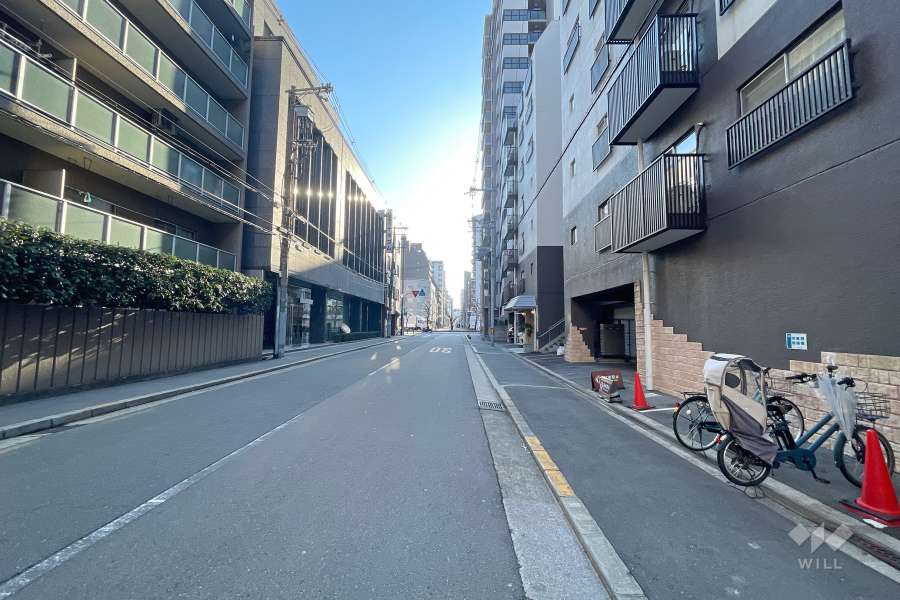 敷地北側の前面道路（西側から）