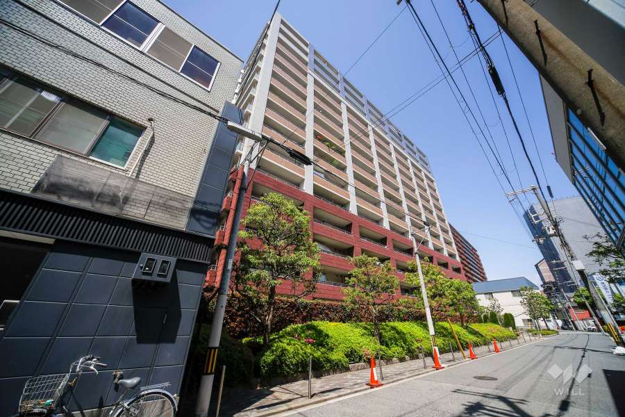 ルネフレシールの外観（南西側から）