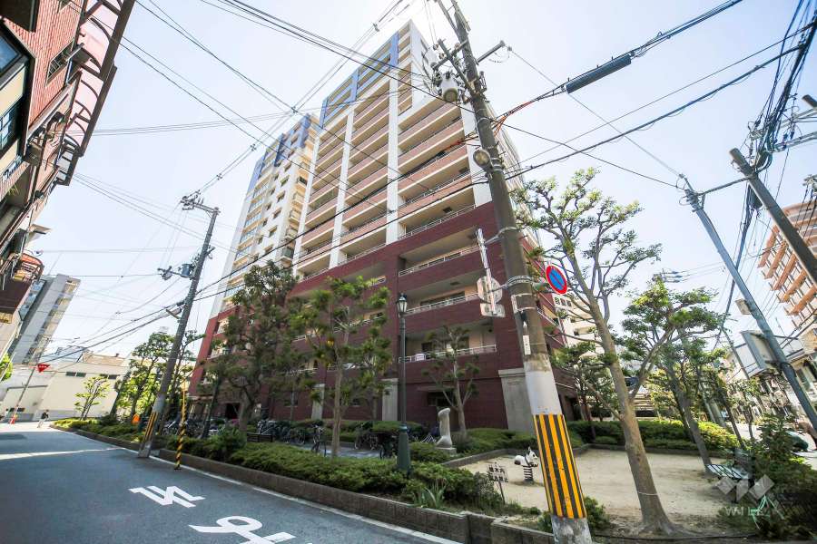 ルネフレシールの外観（北側から）