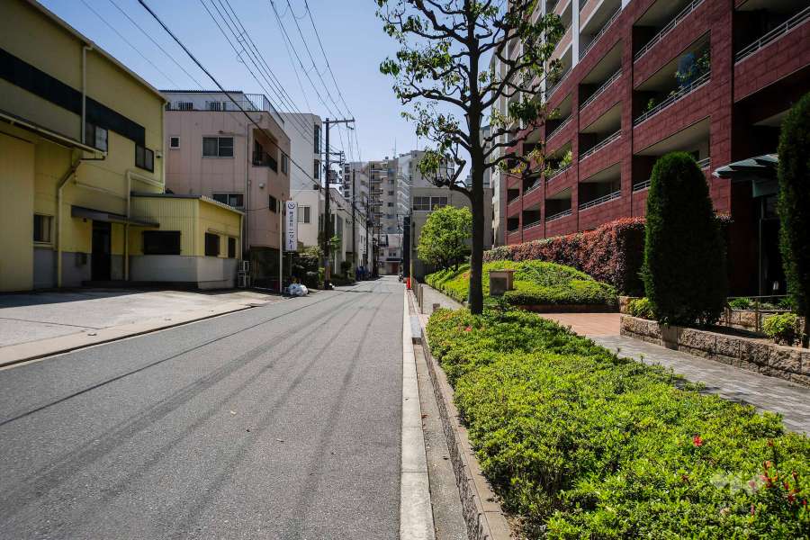 敷地南東側の前面道路