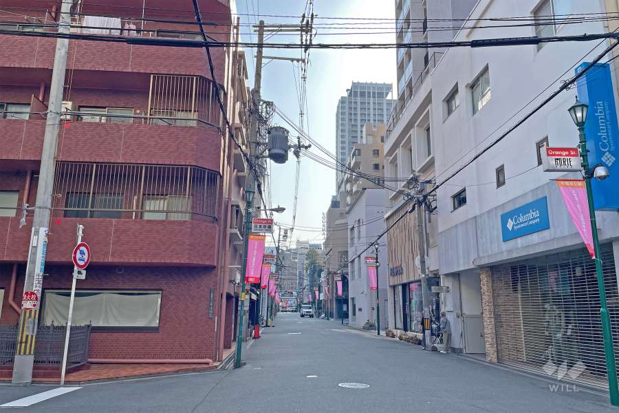 敷地南側の前面道路（西側から）