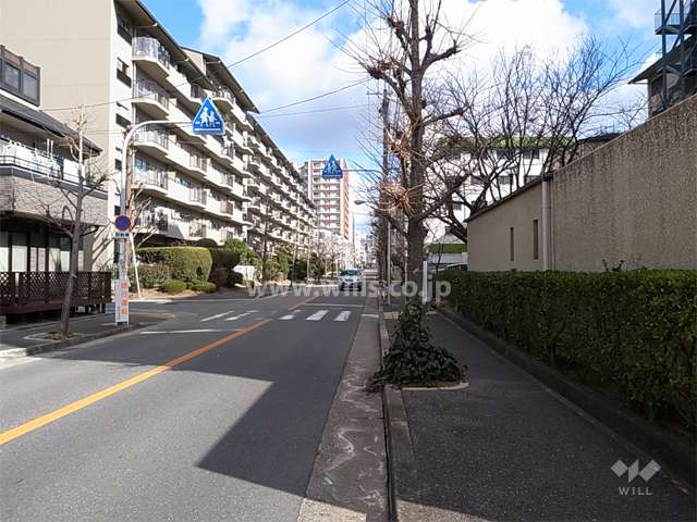 敷地北側の街路樹がきれいな通り。