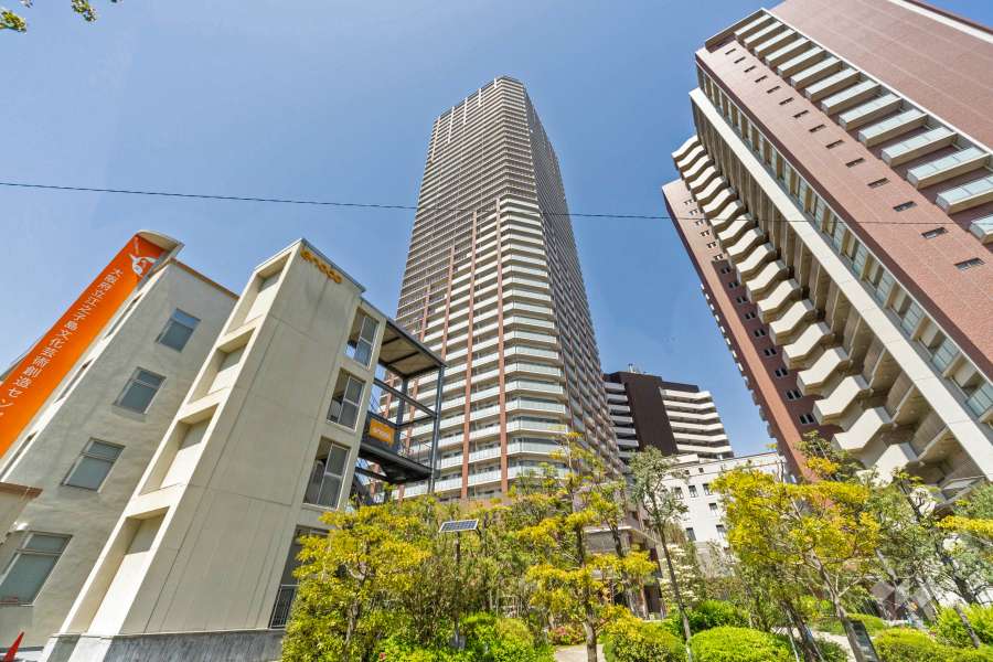 大阪市西区でペット飼育可のマンションをさがす｜ウィル不動産販売