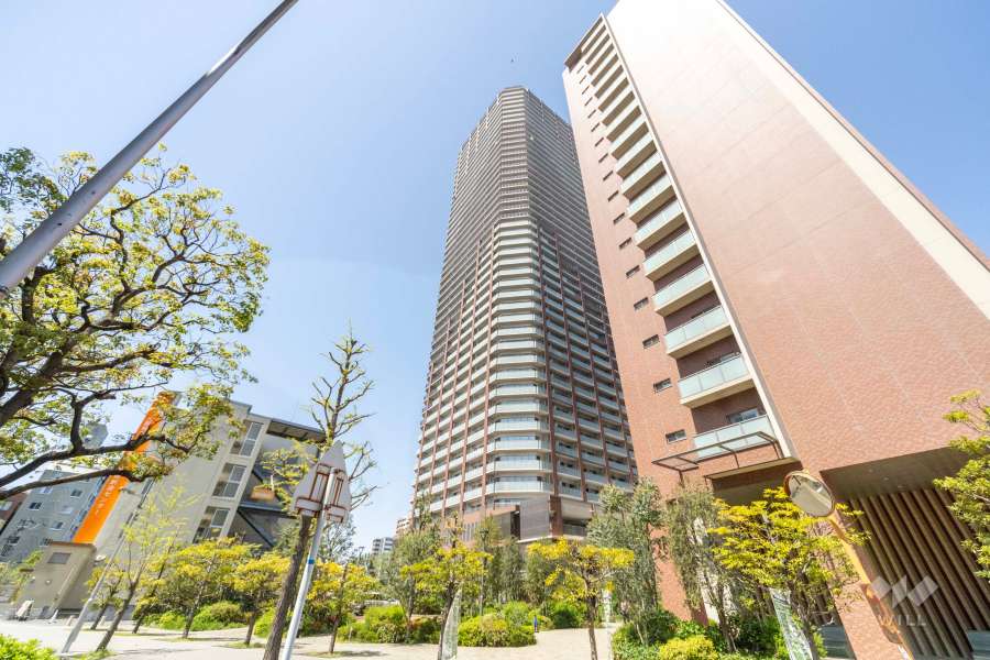 阿波座ライズタワーズフラッグ46の外観（南東側から）