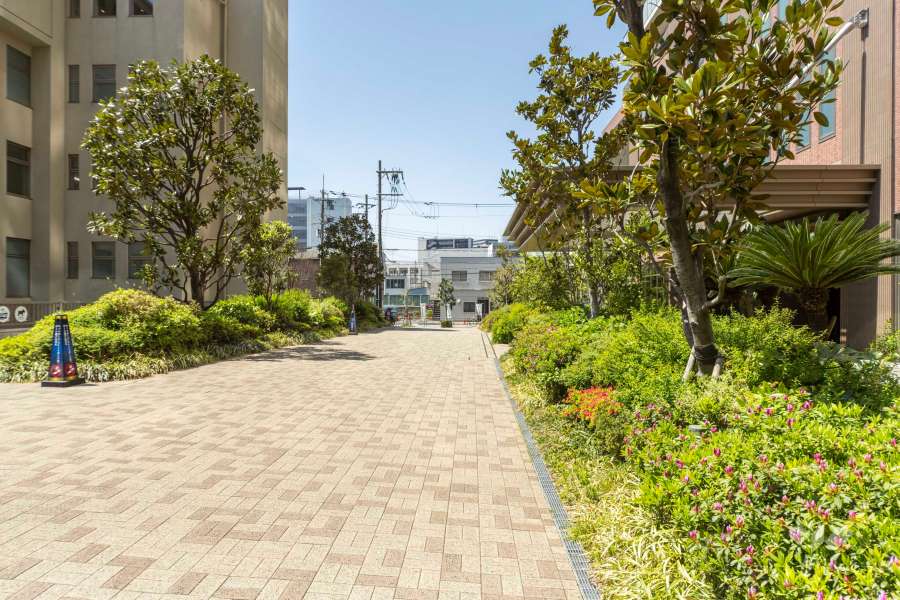 敷地南側の前面道路（東側から）