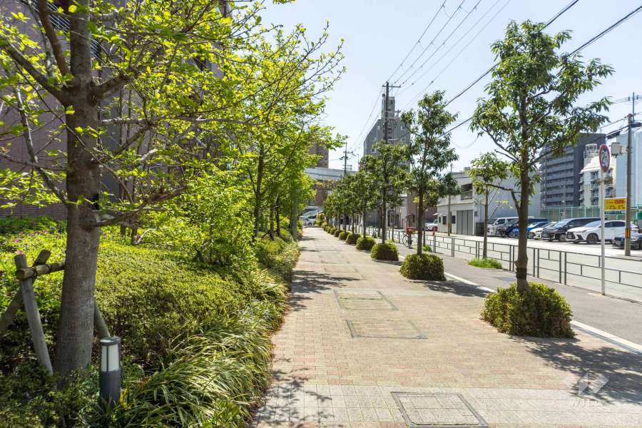 敷地西側の前面道路（北側から）