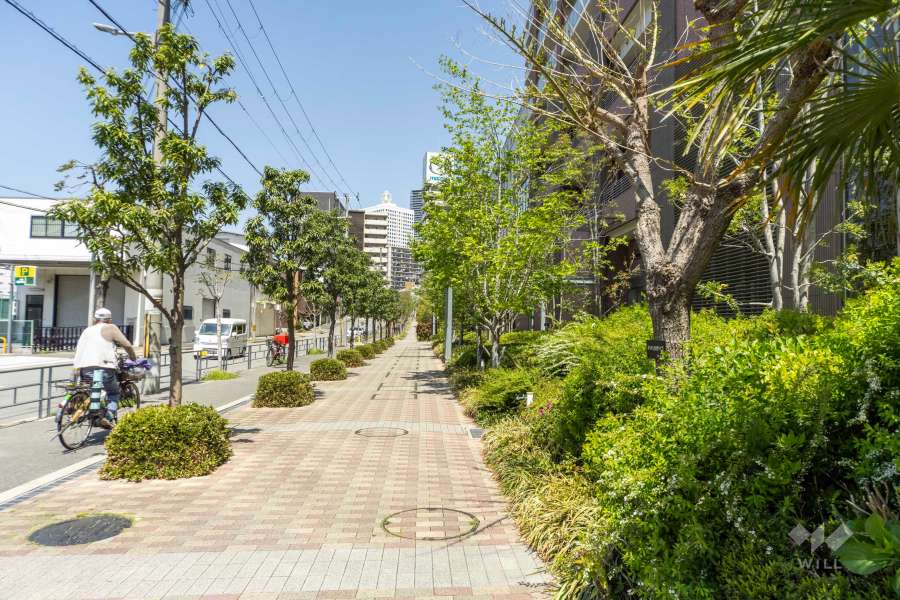 敷地西側の前面道路（南側から）
