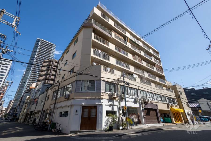 四ツ橋三洋ハイツの外観（北西側から）