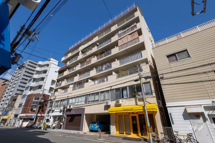 四ツ橋三洋ハイツの外観（南西側から）