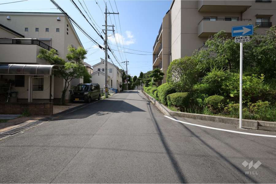 敷地東側の前面道路