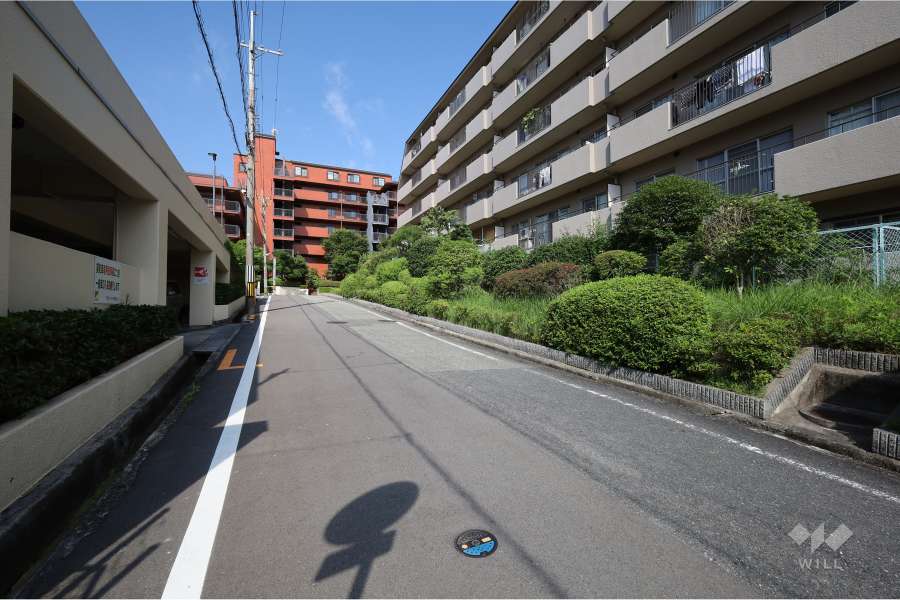 敷地南側の前面道路