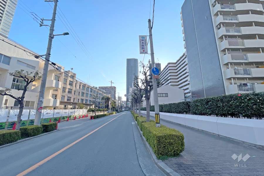 敷地北側の前面道路