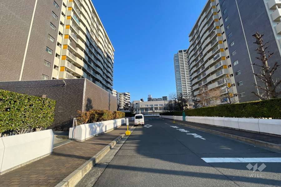 敷地東側の前面道路（南側から）