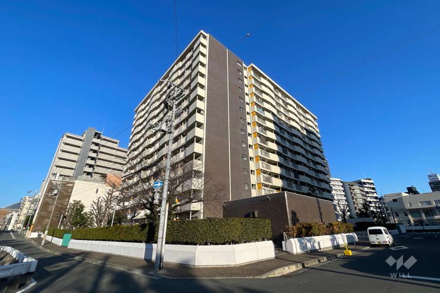 西道頓堀コーポ2号棟の外観（南東側から）