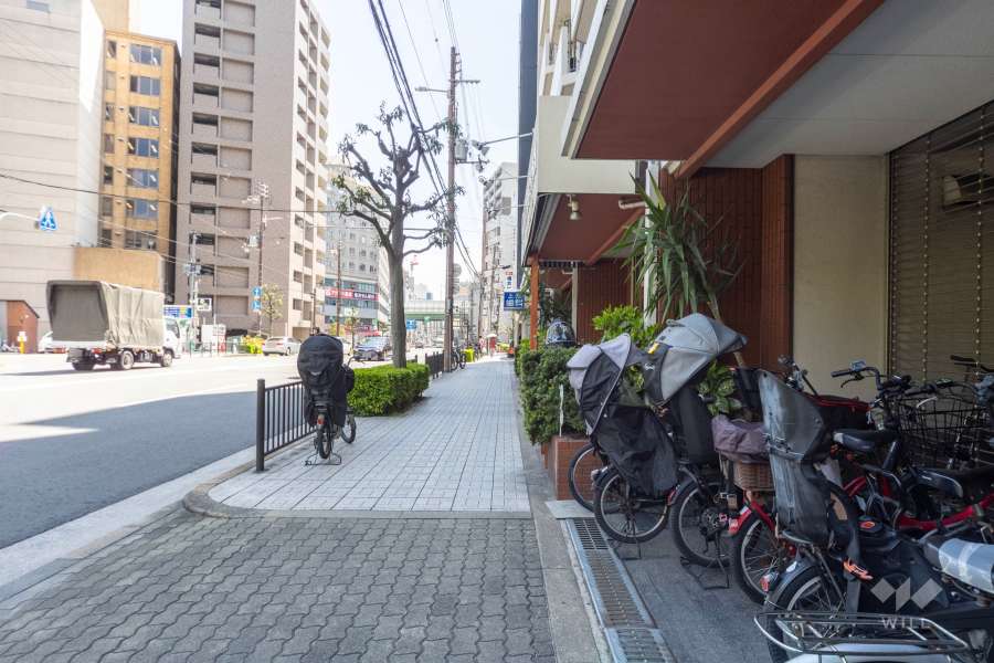 敷地東側の前面道路（北側から）