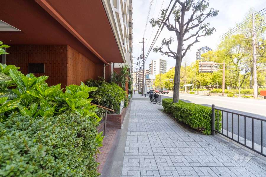 敷地東側の前面道路（南側から）