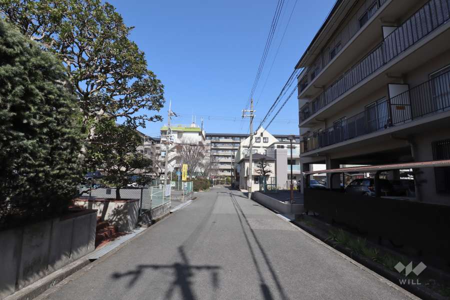 敷地西側の前面道路