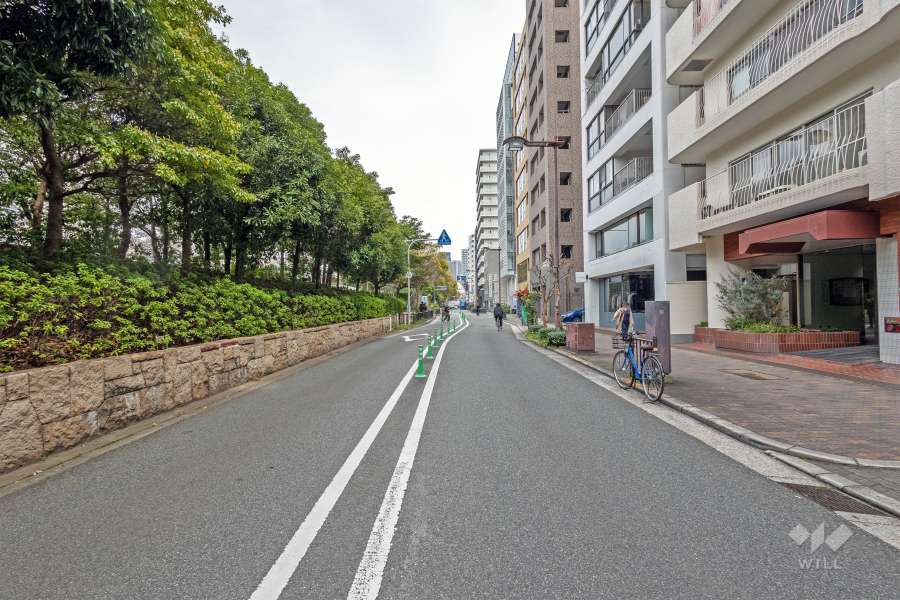 敷地の北側前面道路（西側から）