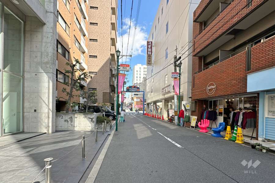 敷地北側の前面道路