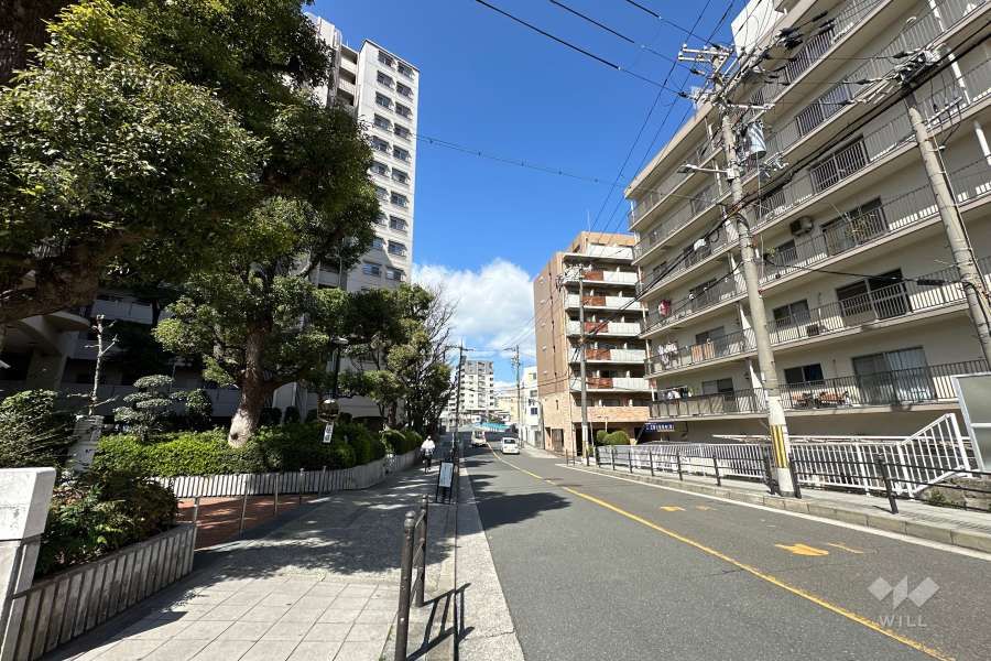 敷地北東側の前面道路（南東側から）