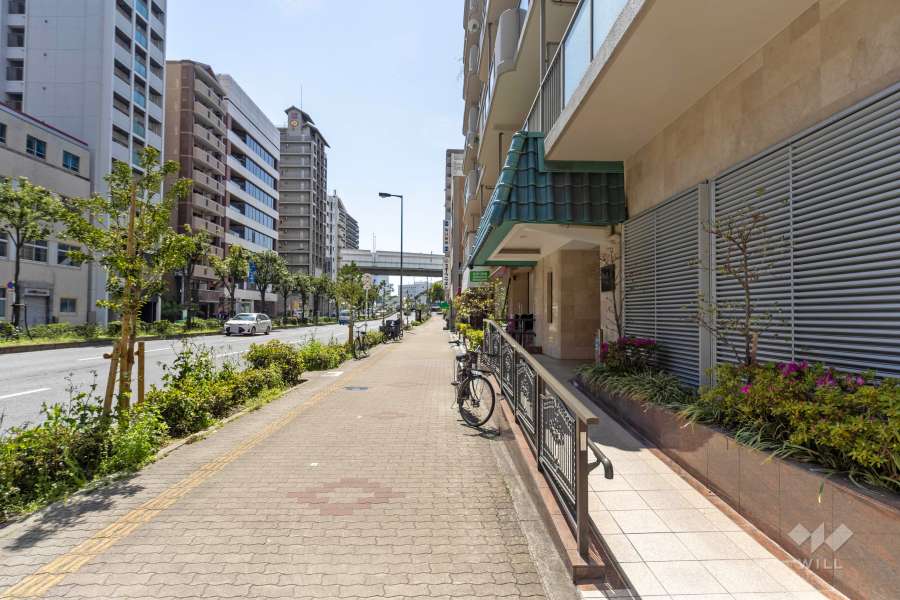 敷地南東側の前面道路（北東側から）
